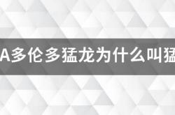 开云中国-NBA多伦多猛龙为什么叫猛龙？